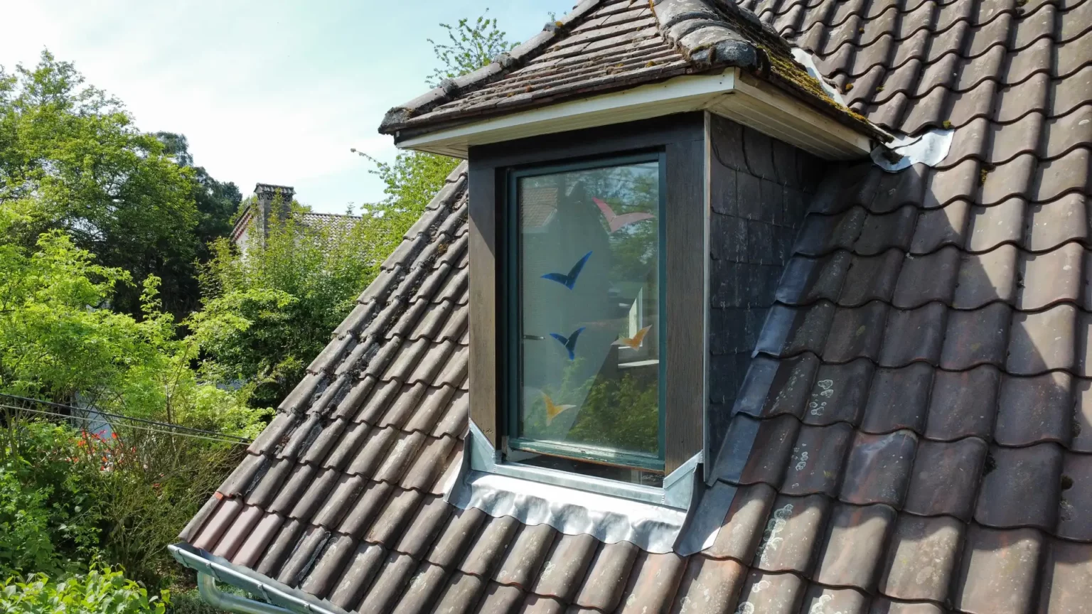 dji_fly_20250427_143334_489_1745757438353_photo_optimized